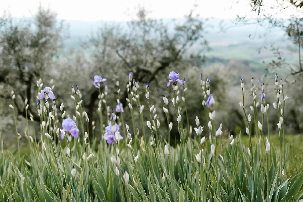 Agriturismo Cafaggio Primo Loro Ciuffenna Bauernhof