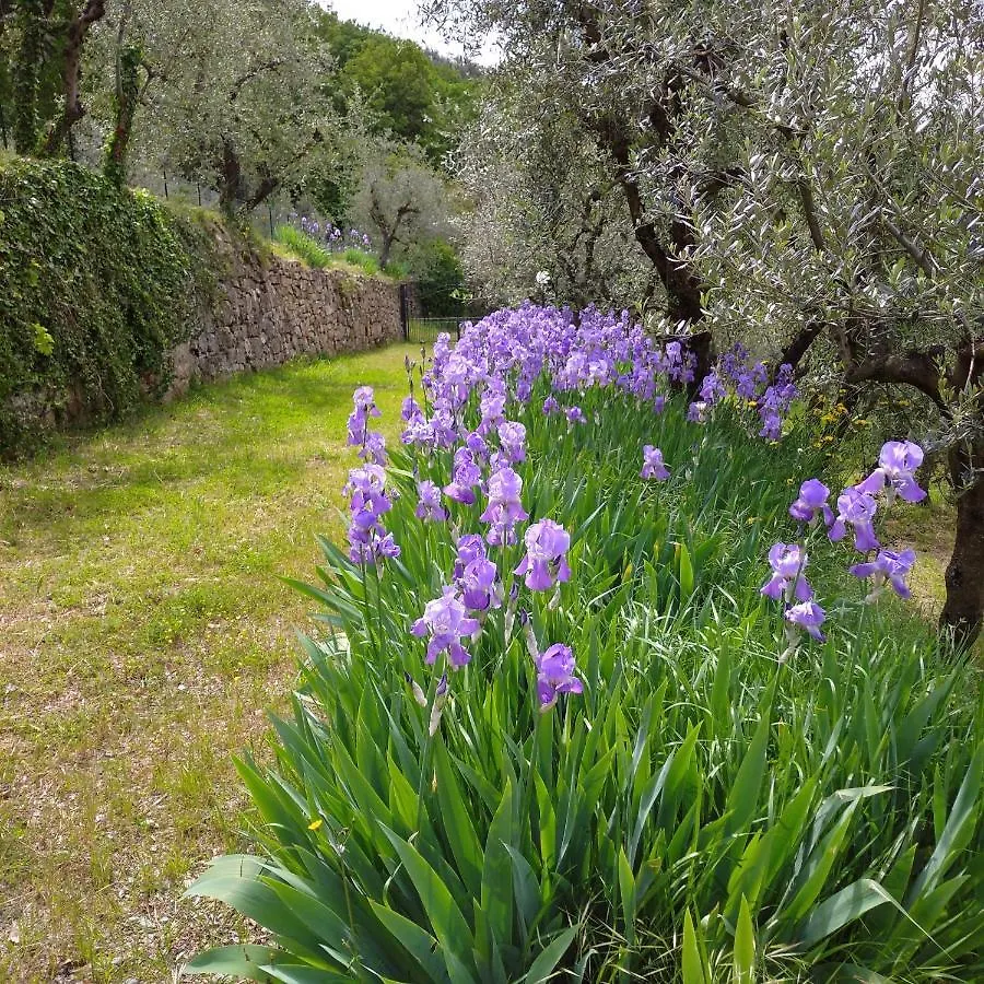 Agriturismo Cafaggio Primo Loro Ciuffenna Farm stay