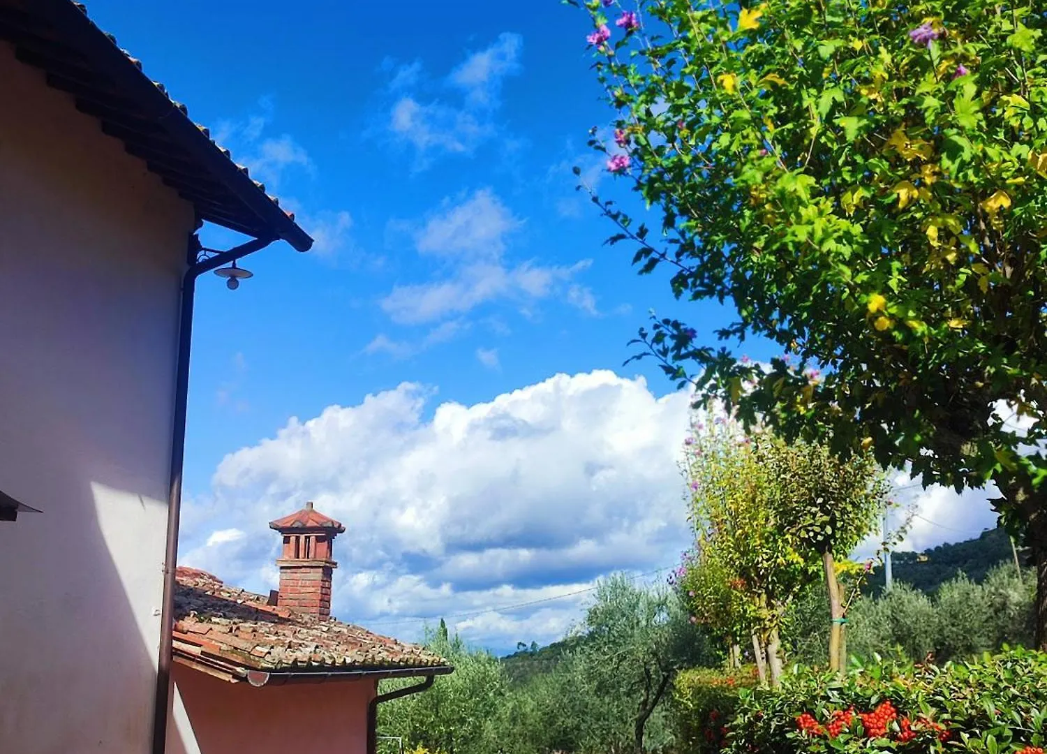 Agriturismo Cafaggio Primo Loro Ciuffenna Alloggio per agriturismo