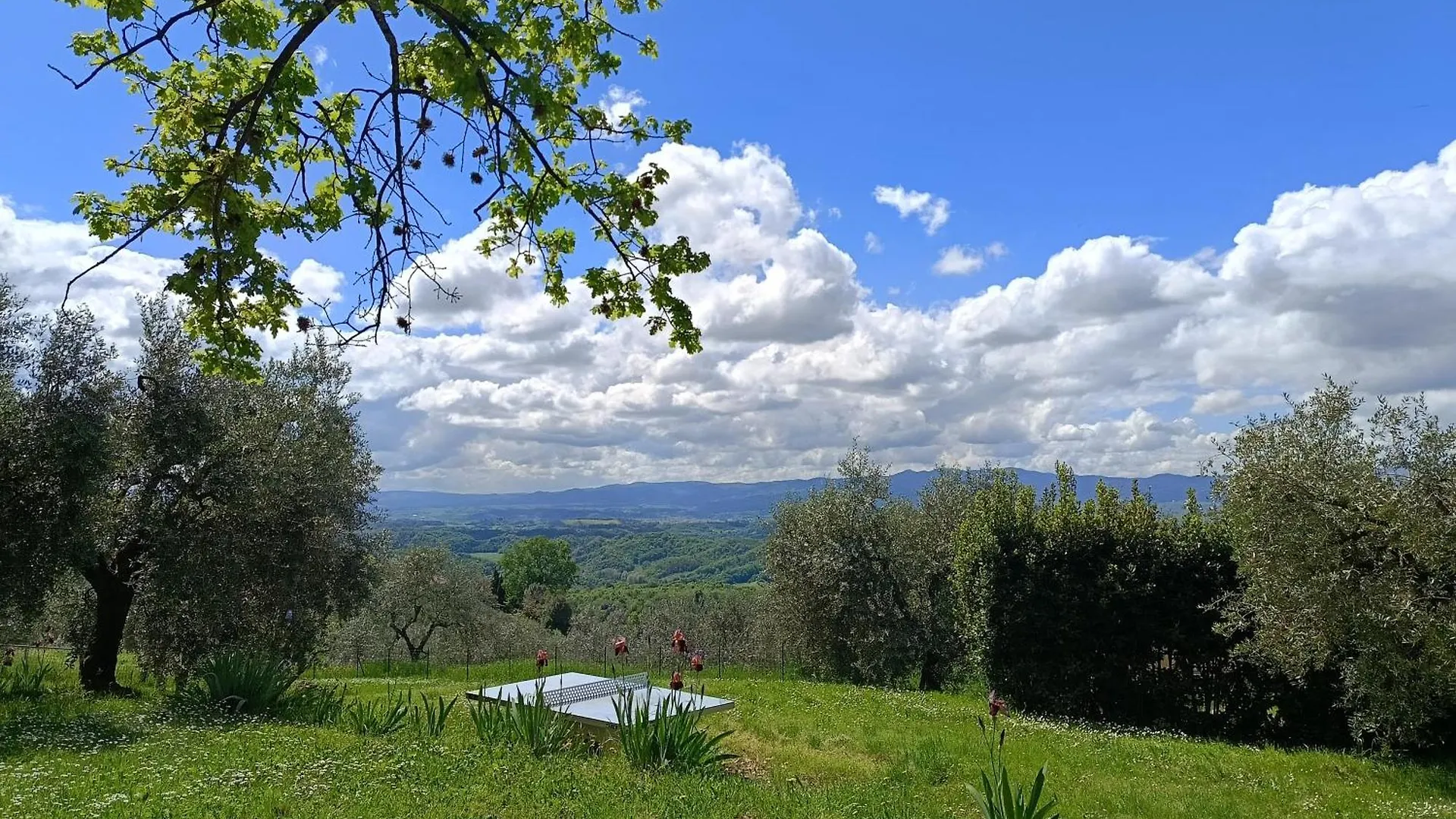 Alloggio per agriturismo Agriturismo Cafaggio Primo Loro Ciuffenna